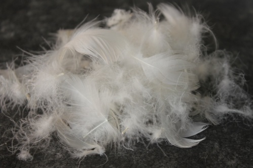 Перопуховое сырье "Элита"