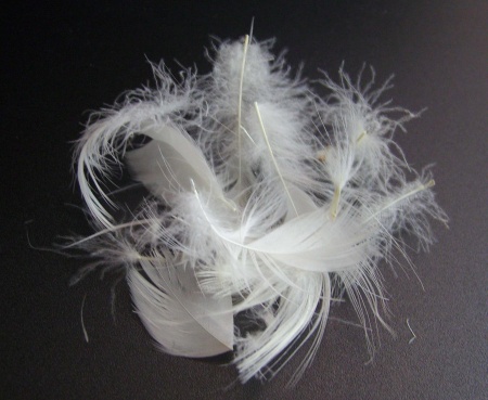 Перопуховое сырье "Элита" Перопуховое сырье "Элита"