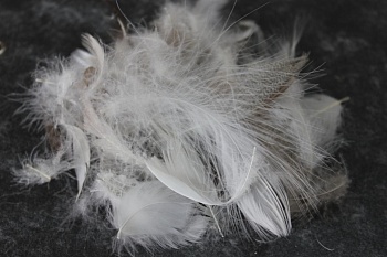 Перопуховое сырье "Дуэт"