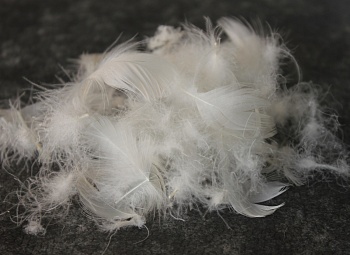 Перопуховое сырье "Элита"