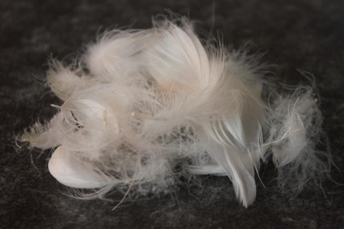 Перопуховое сырье "Прима"