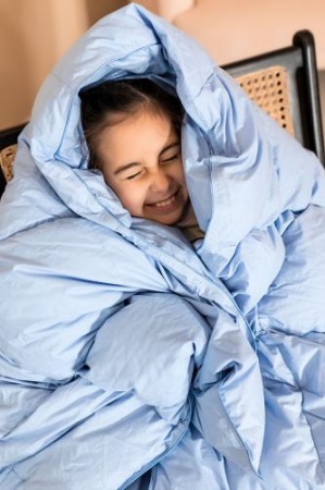 ТЕПЛОЕ ПУХОВОЕ ОДЕЯЛО «ДЕБЮТ», 220X240 СМ. 1260 гр ТЕПЛОЕ ПУХОВОЕ ОДЕЯЛО «ДЕБЮТ», 220X240 СМ. 1260 гр