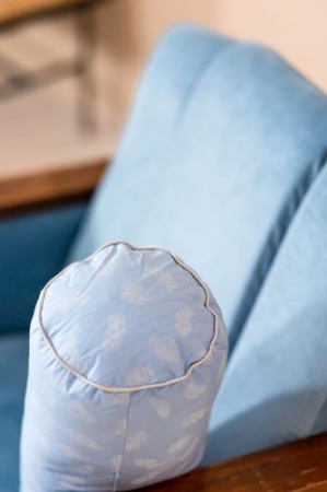 ПУХОВЫЙ ВАЛИК «ДУЭТ», 40X15 СМ ПУХОВЫЙ ВАЛИК «ДУЭТ», 40X15 СМ