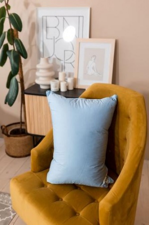 ПУХОВАЯ ПОДУШКА, УПРУГАЯ, «ДЕБЮТ», 50X68 СМ