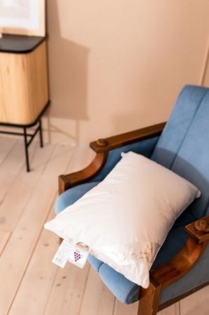 ДЕТСКАЯ ПУХОВАЯ ПОДУШКА «БЕЛЫЙ ГУСЕНОК», 38X60 СМ ДЕТСКАЯ ПУХОВАЯ ПОДУШКА «БЕЛЫЙ ГУСЕНОК», 38X60 СМ