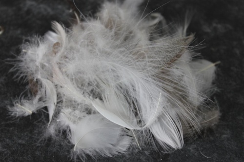 Перопуховое сырье "Дуэт"