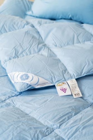 ОБЛЕГЧЕННОЕ ПУХОВОЕ ОДЕЯЛО «ДЕБЮТ», 180X200 СМ. 840 гр ОБЛЕГЧЕННОЕ ПУХОВОЕ ОДЕЯЛО «ДЕБЮТ», 180X200 СМ. 840 гр