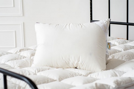 ПУХОВАЯ ПОДУШКА ДЛЯ МУЖЧИН «ИРИС», 50X68 СМ